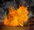 cat-on-fire-3920.jpg