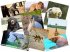 50-Beautiful-Animals-HD-Wallpapers.jpg