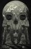 Astronouts-Skull-Illusion.jpg