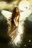 ws_Fantasy_girl_-_Angel_640x960.jpg