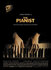 The_Pianist_movie.jpg